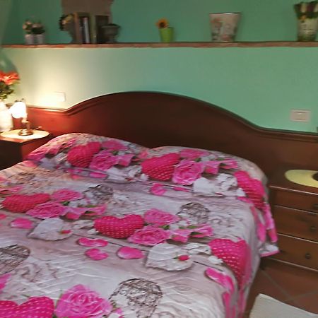 Casa Country House Girasole Vakantie Huis-Wakacje Huis Asciano Eksteriør billede