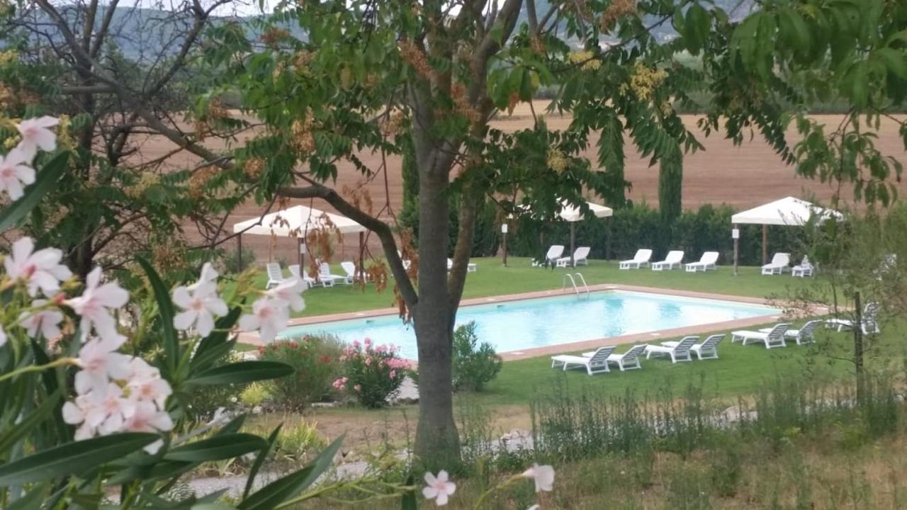 Casa Country House Girasole Vakantie Huis-Wakacje Huis Asciano Eksteriør billede
