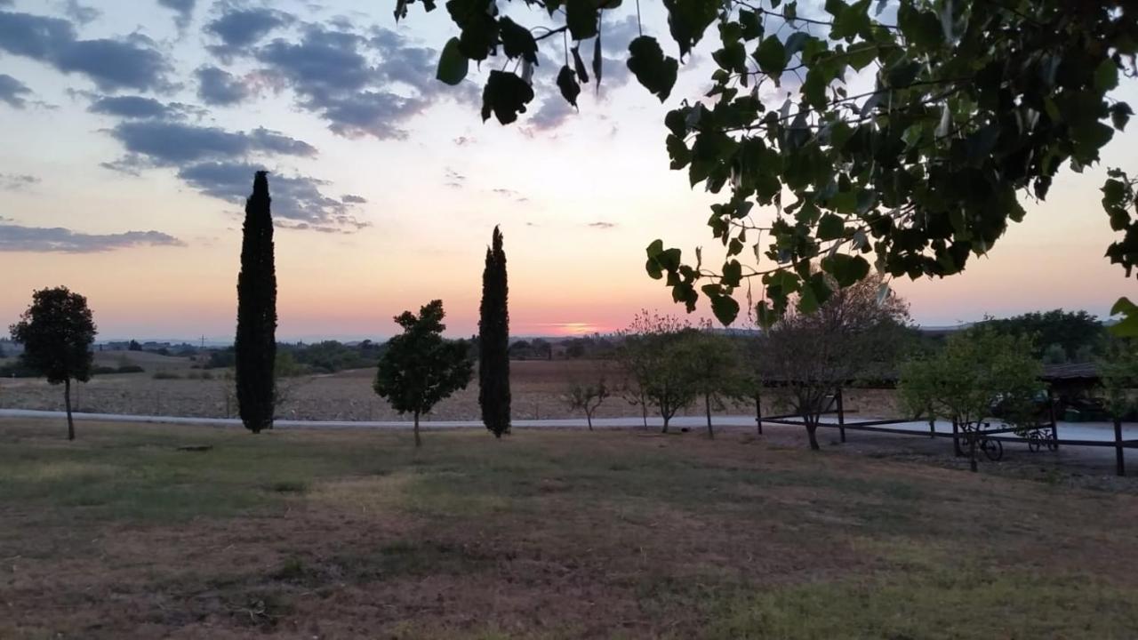 Casa Country House Girasole Vakantie Huis-Wakacje Huis Asciano Eksteriør billede