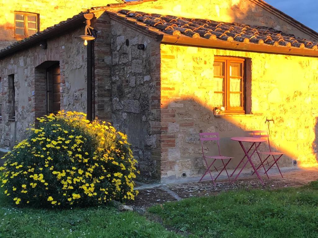 Casa Country House Girasole Vakantie Huis-Wakacje Huis Asciano Eksteriør billede