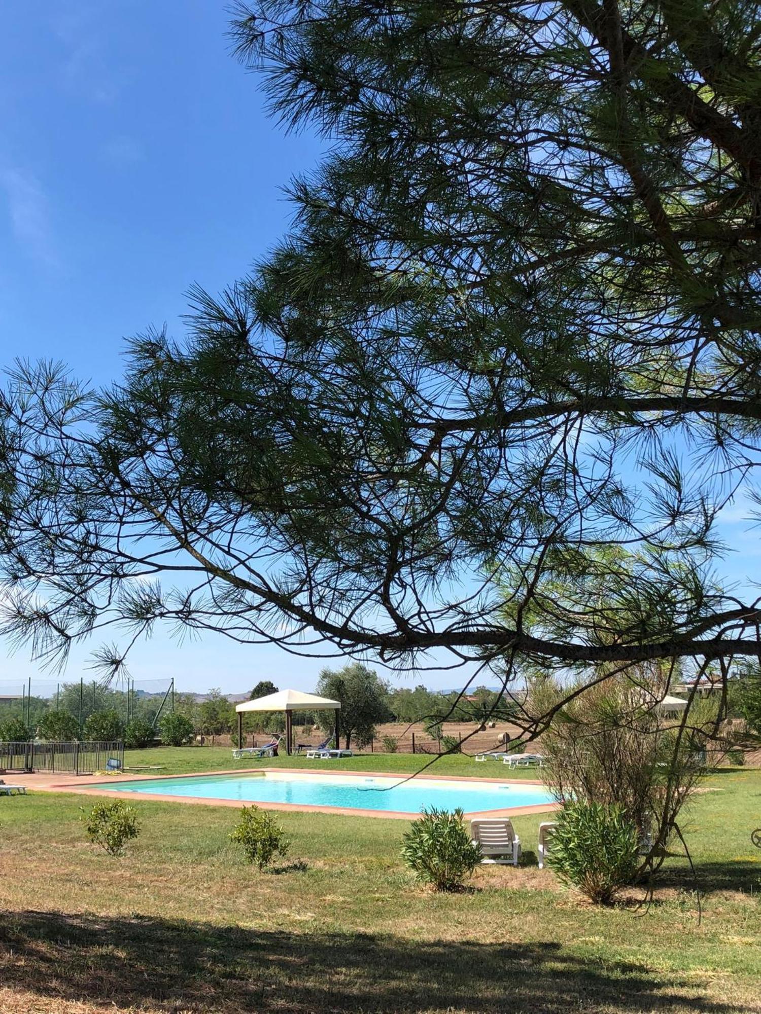Casa Country House Girasole Vakantie Huis-Wakacje Huis Asciano Eksteriør billede