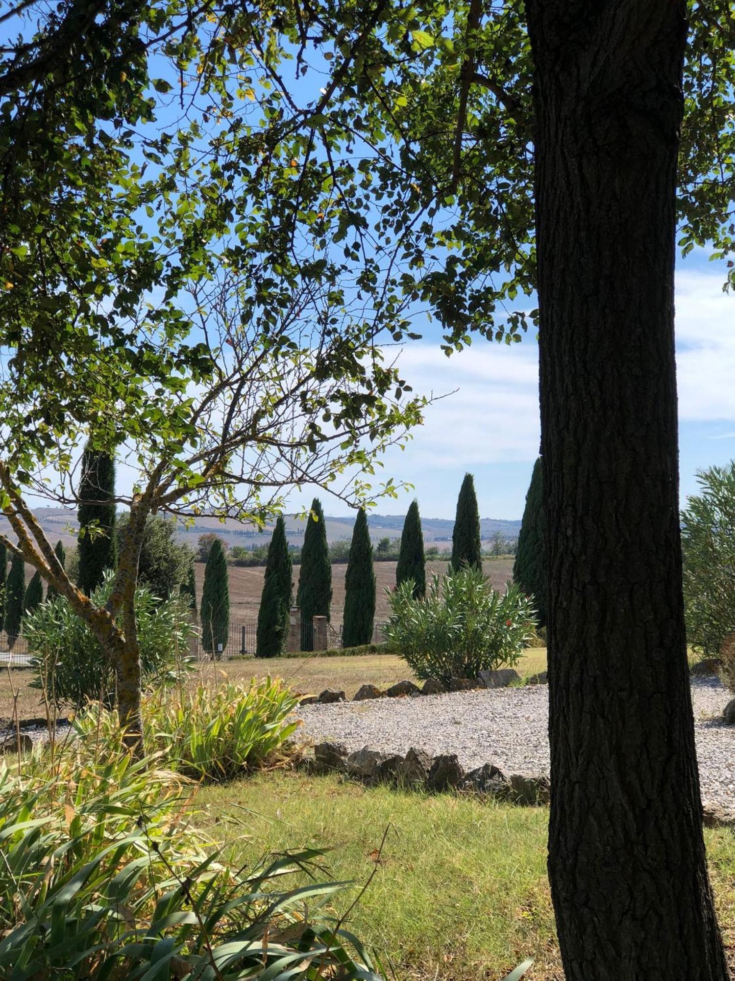 Casa Country House Girasole Vakantie Huis-Wakacje Huis Asciano Eksteriør billede