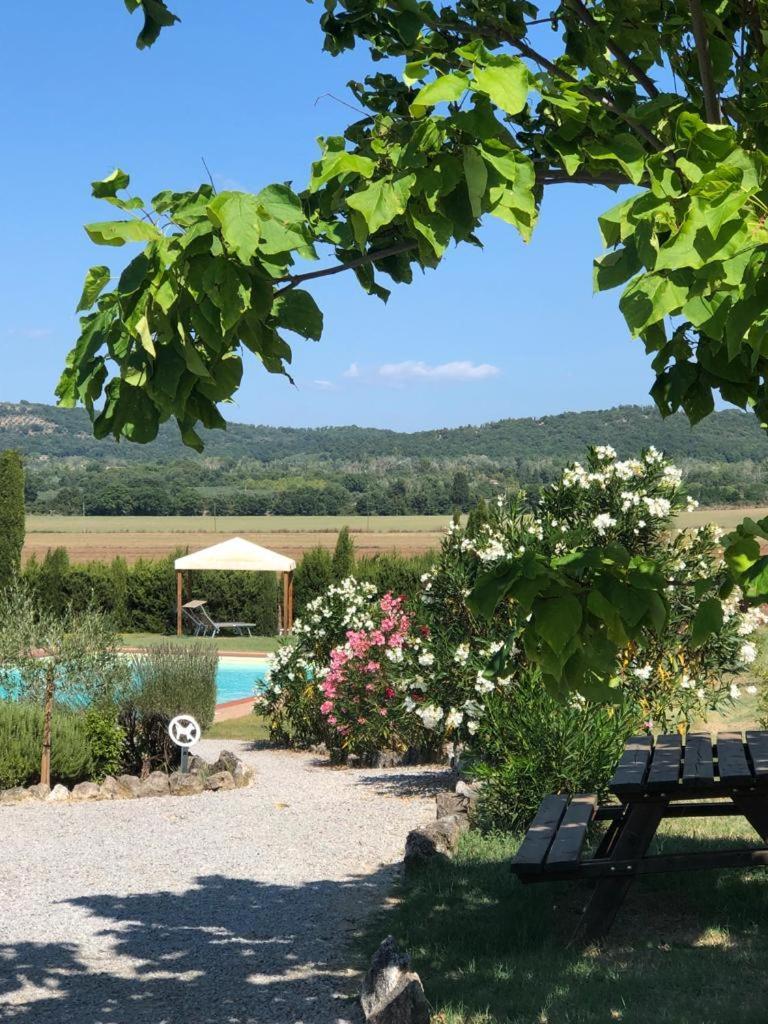 Casa Country House Girasole Vakantie Huis-Wakacje Huis Asciano Eksteriør billede